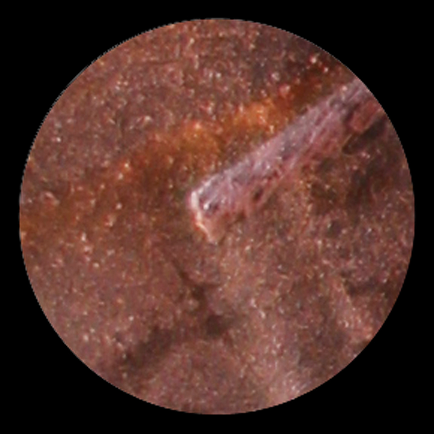 2024-D-LMC-Major-Strike-Through!